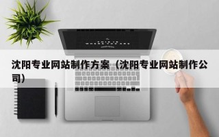 阜阳沈阳专业网站制作方案（沈阳专业网站制作公司）